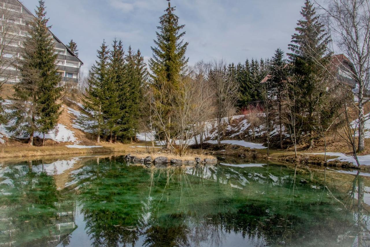 Fux Ferienhaus Bad Mitterndorf